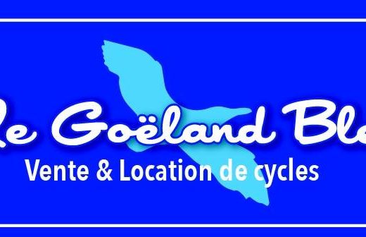 Le goeland bleu location de velo bretignolles sur mer